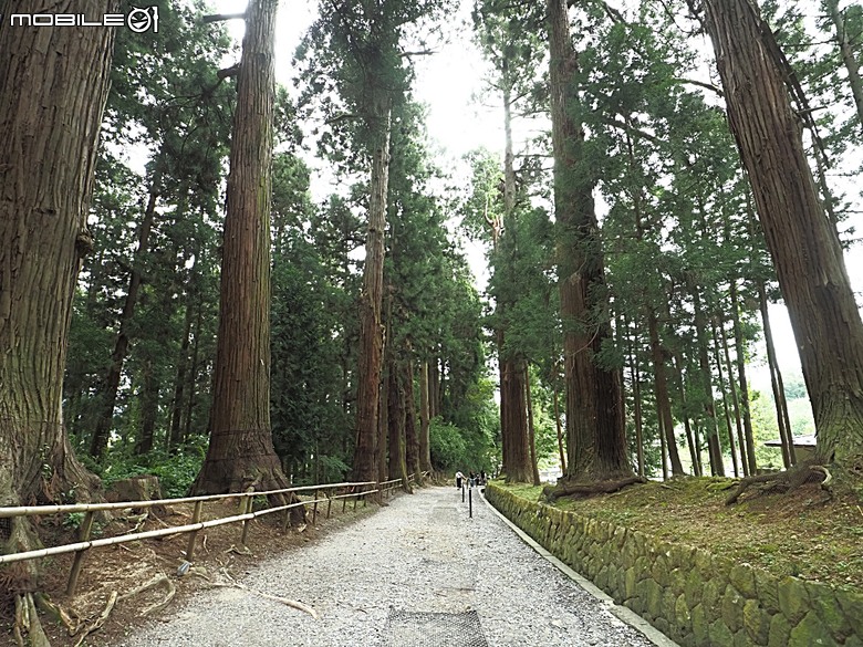 平泉中尊寺、銀山溫泉、山形山寺、由利高原鐵道、松島遊船、還有台虎之秋田航程紀錄 — 2026夏末日本東北4日員旅之【楔子】