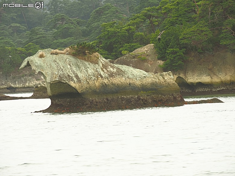 松島遊船、松島町 觀瀾亭、瑞巖寺、五大堂、仙台市中心(AER 展望テラス、ハビナ名掛丁),附掛美食之牛たん炭焼利久與一蘭拉麵,還有團客必訪的光伸真珠 — 2026夏末日本東北4日員旅之二【宮城県篇】