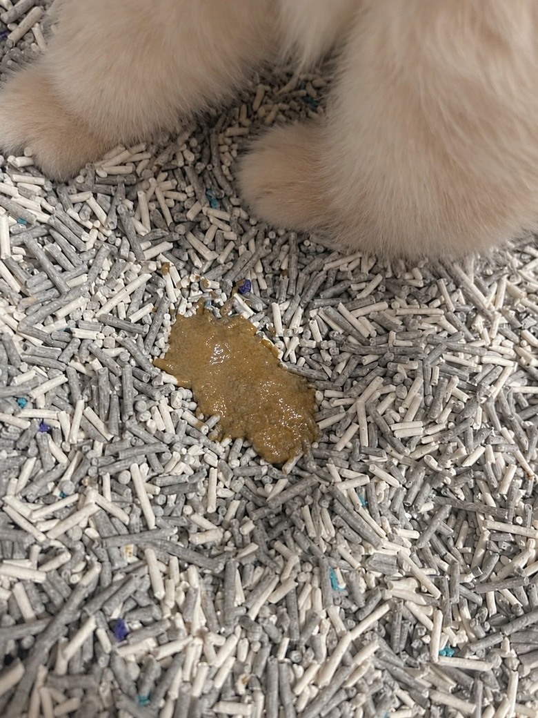 當媽後真的很怕補不夠…腸胃粉＋化毛粉分享！