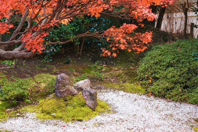 點我看大圖 京都九天八夜分享-超級充實的賞楓之旅