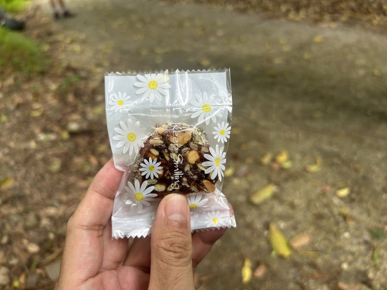 盡 享 台 東 山 海 美 景 - 多 金 縱 走