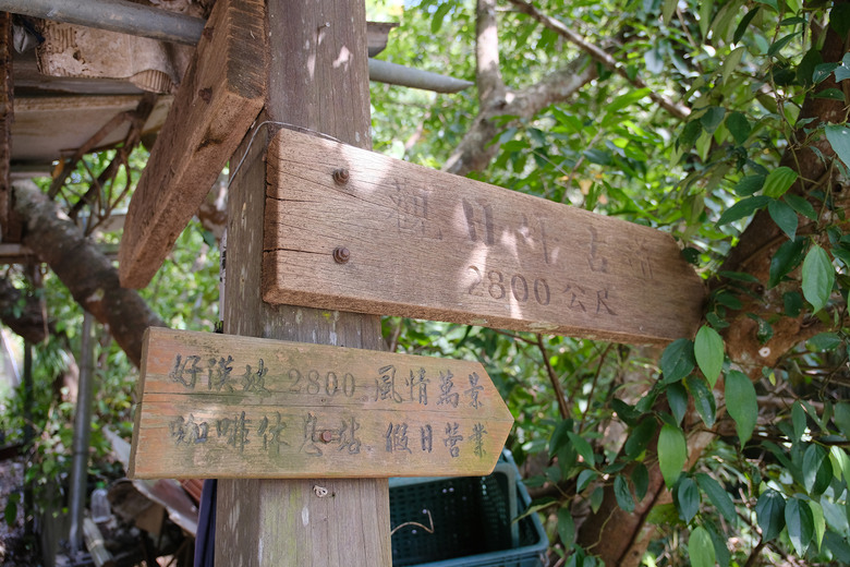 點我看大圖 【新竹飛鳳山】石壁潭山・中坑山・少見美麗大板根樹