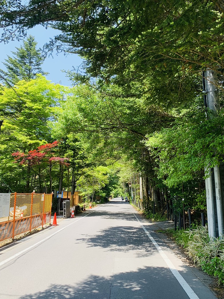 點我看大圖 <日本>2024~輕井澤咖啡廳探索、夏的雲場池、舊銀座通逛不停(果醬、限定美食⋯⋯)