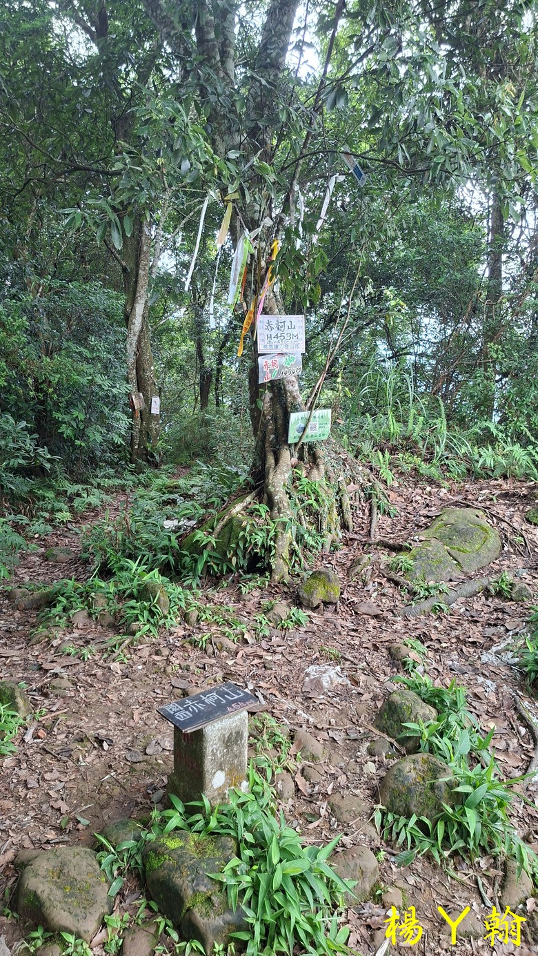 【森遊竹縣】新竹也有赤柯山？ 關西赤柯山、東獅頭山步道，山林中挑戰好漢坡