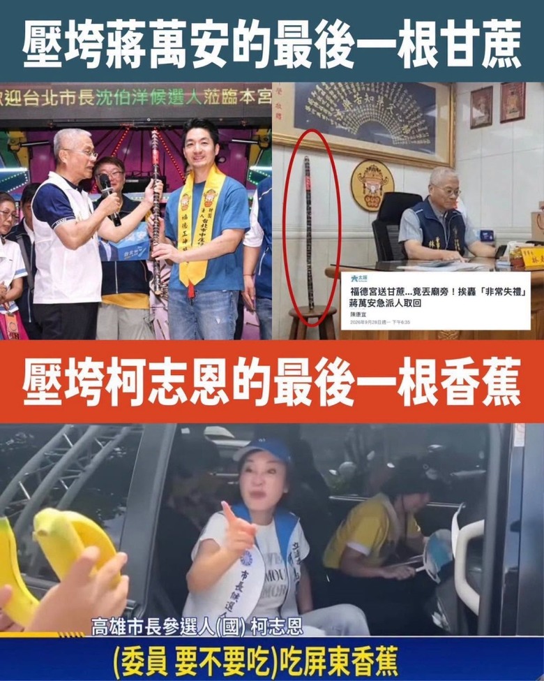 ❤️香蕉外銷的腿當年是國民黨親手斬斷❤️現在說要挺農民，口不對心❤️蔣萬安不拿的甘蔗，與柯志恩不吃的香蕉