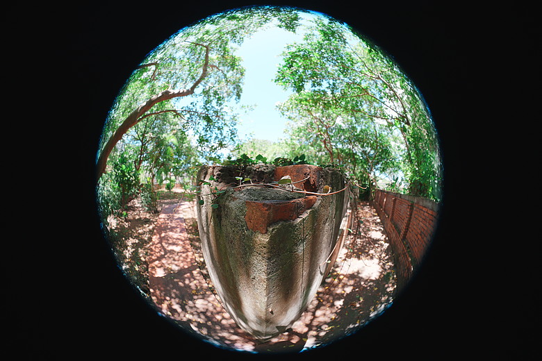 Sony FE 8-14mm F3.5 Fisheye G 評測報告｜314g 輕巧便攜！圓形與對角魚眼「雙視角通吃」