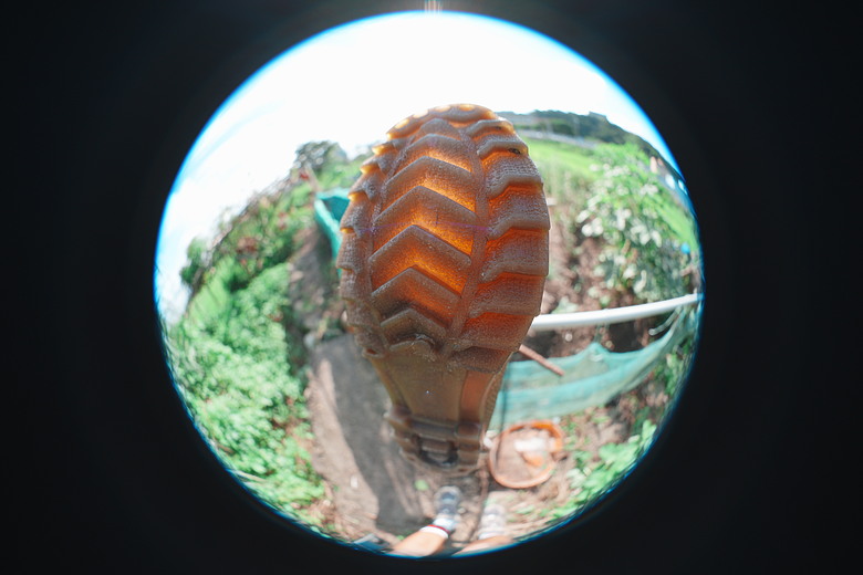 Sony FE 8-14mm F3.5 Fisheye G 評測報告｜314g 輕巧便攜！圓形與對角魚眼「雙視角通吃」
