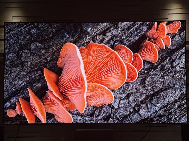 遲來的父親節禮物，85 吋 BRAVIA 9 II＋Trio 全套開箱
