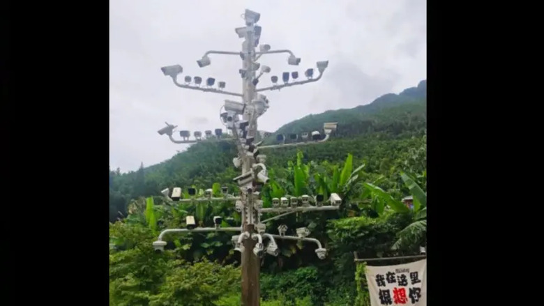 監控怪象：江西村莊一根杆上掛84個攝像頭