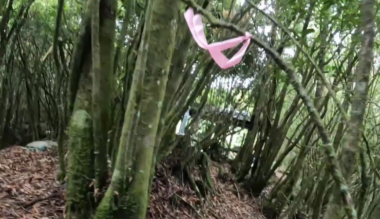 【谷關七雄】單日「蝶夢八唐」到底多硬？走完蝴蝶谷，經過夢幻谷，以為陡完八仙山就解脫？