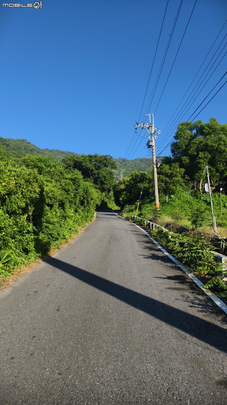 台東小布遊記 | 太麻里金針山 | 說好的金針花呢
