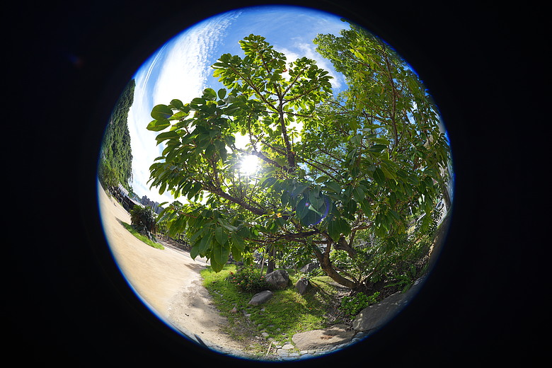 Sony FE 8-14mm F3.5 Fisheye G 評測報告｜314g 輕巧便攜！圓形與對角魚眼「雙視角通吃」