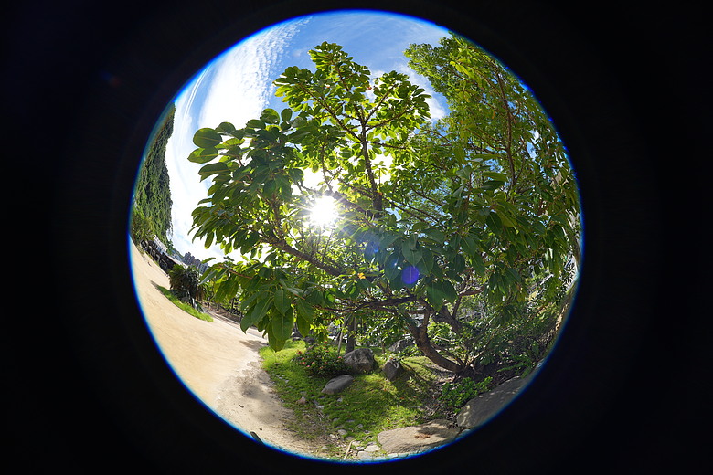 Sony FE 8-14mm F3.5 Fisheye G 評測報告｜314g 輕巧便攜！圓形與對角魚眼「雙視角通吃」