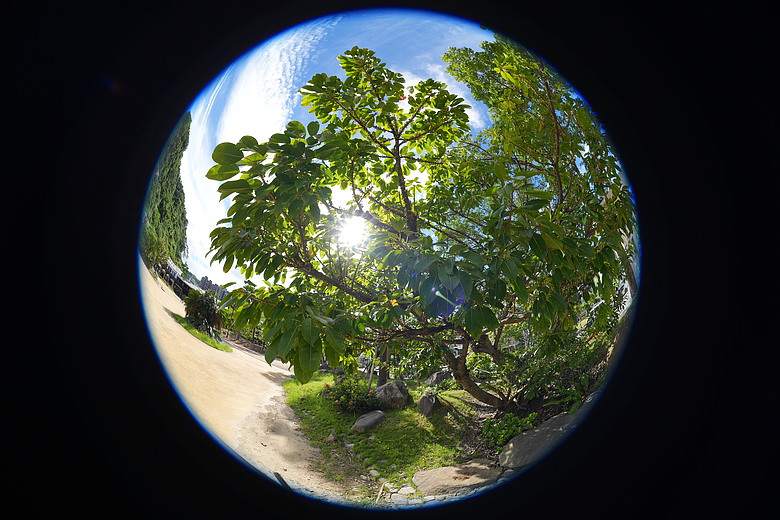 Sony FE 8-14mm F3.5 Fisheye G 評測報告｜314g 輕巧便攜！圓形與對角魚眼「雙視角通吃」