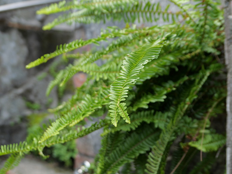 點我看大圖 Panasonic Lumix DC-L10 評測報告|復古質感 + 4/3 吋大底、實時 LUT 隨心玩色!
