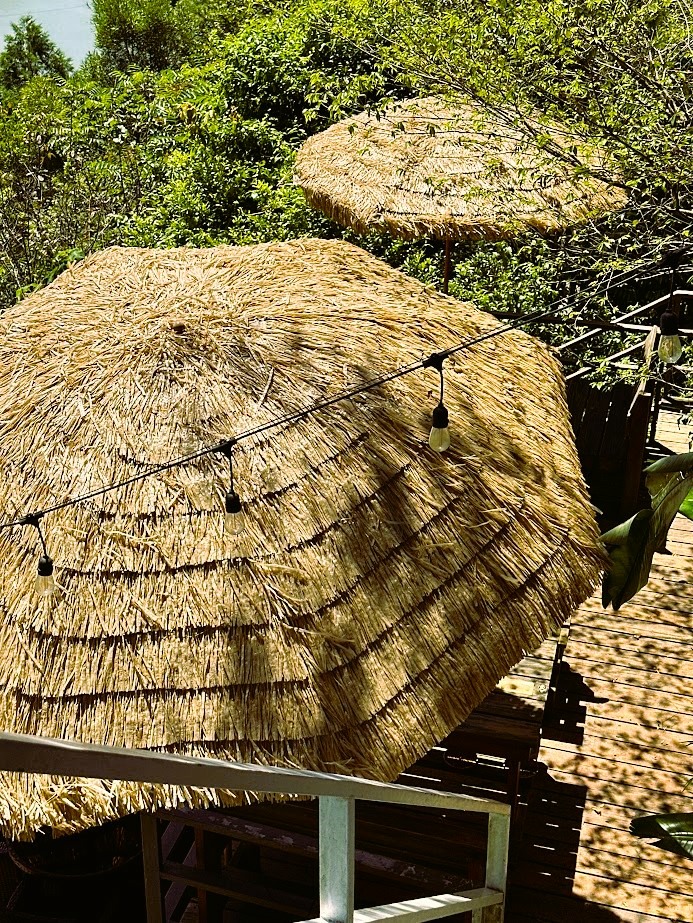 絕美偽出國秘境 | 森鄰水岸景觀咖啡館