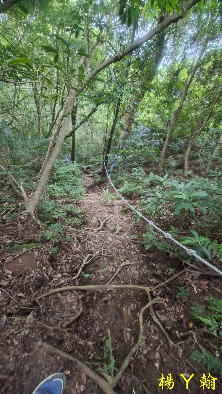 【森遊竹縣】新竹也有赤柯山？ 關西赤柯山、東獅頭山步道，山林中挑戰好漢坡