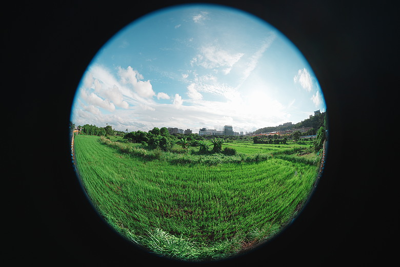 Sony FE 8-14mm F3.5 Fisheye G 評測報告｜314g 輕巧便攜！圓形與對角魚眼「雙視角通吃」