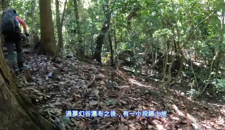 【谷關七雄】單日「蝶夢八唐」到底多硬？走完蝴蝶谷，經過夢幻谷，以為陡完八仙山就解脫？