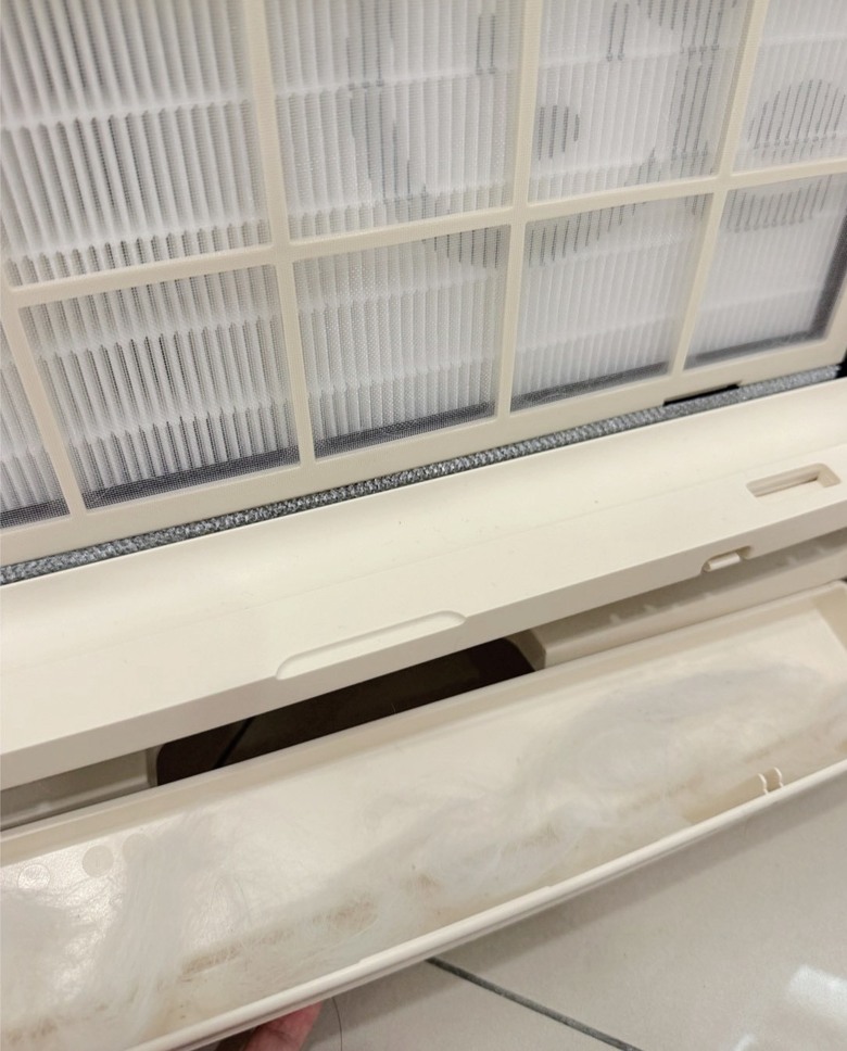 家有毛孩與過敏兒的救星 飛利浦 AC3681 毛小奈入手心得