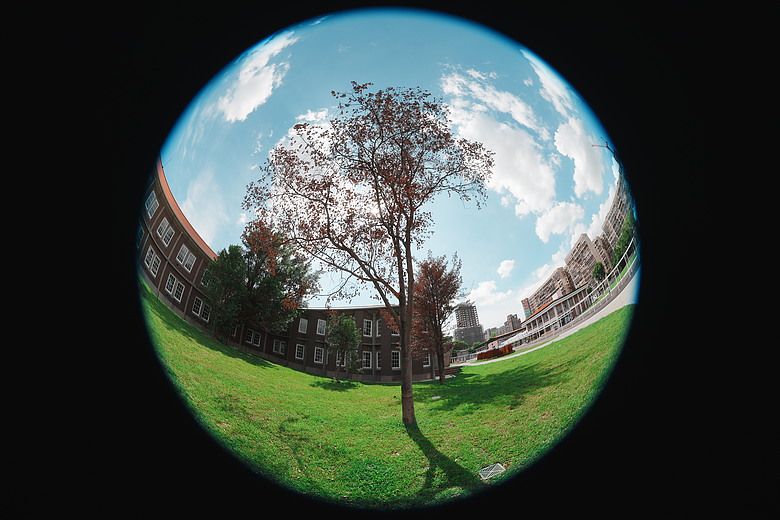 Sony FE 8-14mm F3.5 Fisheye G 評測報告｜314g 輕巧便攜！圓形與對角魚眼「雙視角通吃」