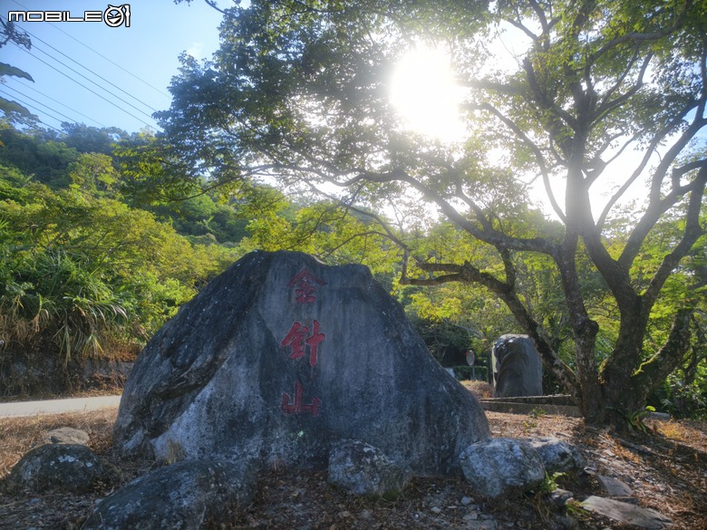 台東小布遊記 | 太麻里金針山 | 說好的金針花呢