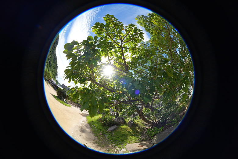 Sony FE 8-14mm F3.5 Fisheye G 評測報告｜314g 輕巧便攜！圓形與對角魚眼「雙視角通吃」