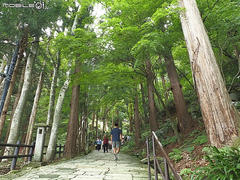 銀山溫泉、寶珠山 立石寺｜山形山寺、将棋むら (株)天童タワー(天童將棋村)、仲野觀光菓樹園採水蜜桃 — 2026夏末日本東北4日員旅之一【山形県篇】