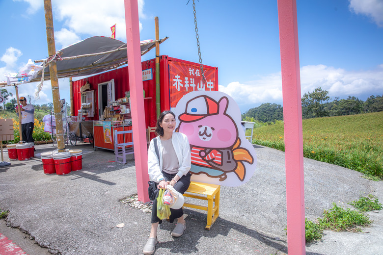 熱血一日暢遊赤柯山與六十石山金針花海美景