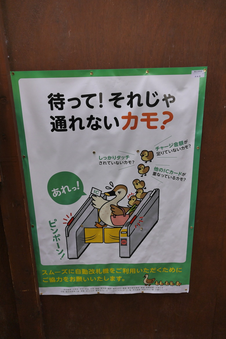 神奈川縣旅遊 湘南單軌 江之電江之島站