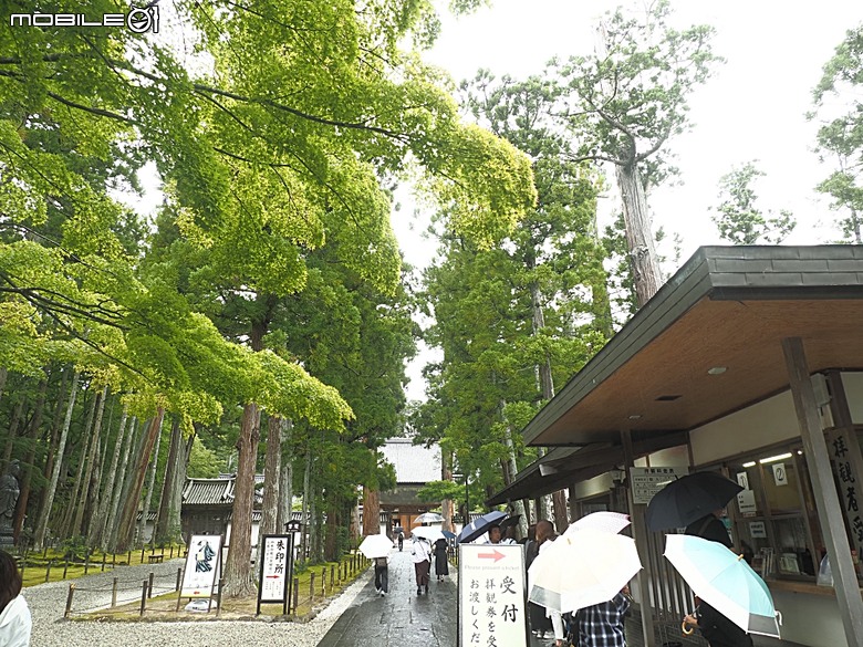 平泉中尊寺、銀山溫泉、山形山寺、由利高原鐵道、松島遊船、還有台虎之秋田航程紀錄 — 2026夏末日本東北4日員旅之【楔子】