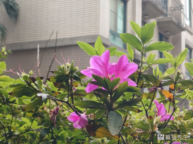 點我看大圖