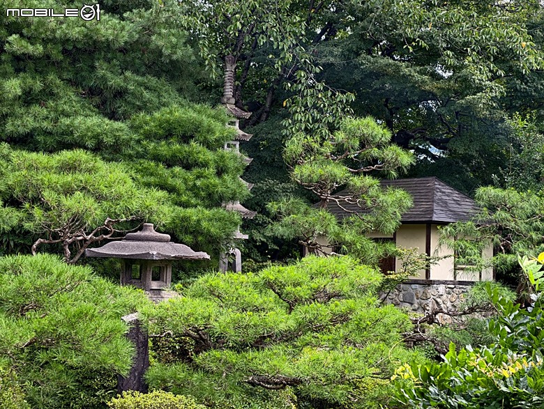 銀山溫泉、寶珠山 立石寺｜山形山寺、将棋むら (株)天童タワー(天童將棋村)、仲野觀光菓樹園採水蜜桃 — 2026夏末日本東北4日員旅之一【山形県篇】