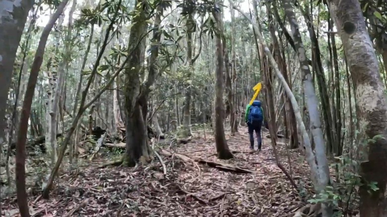 【谷關七雄】單日「蝶夢八唐」到底多硬？走完蝴蝶谷，經過夢幻谷，以為陡完八仙山就解脫？