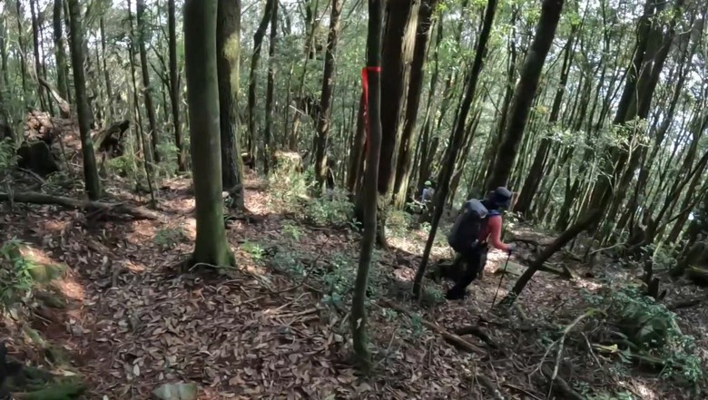 【谷關七雄】單日「蝶夢八唐」到底多硬？走完蝴蝶谷，經過夢幻谷，以為陡完八仙山就解脫？