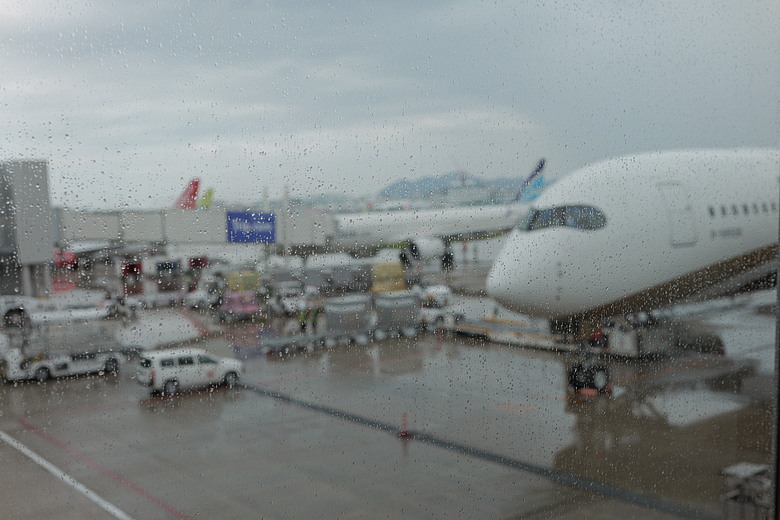 2026 福岡 | PANASONIC LUMIX S9 隨手拍