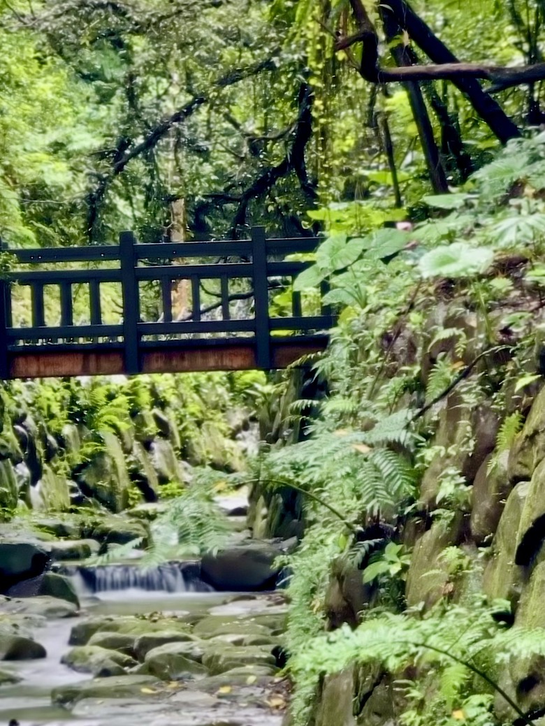 台北森林秘境 ｜ 虎山生態步道