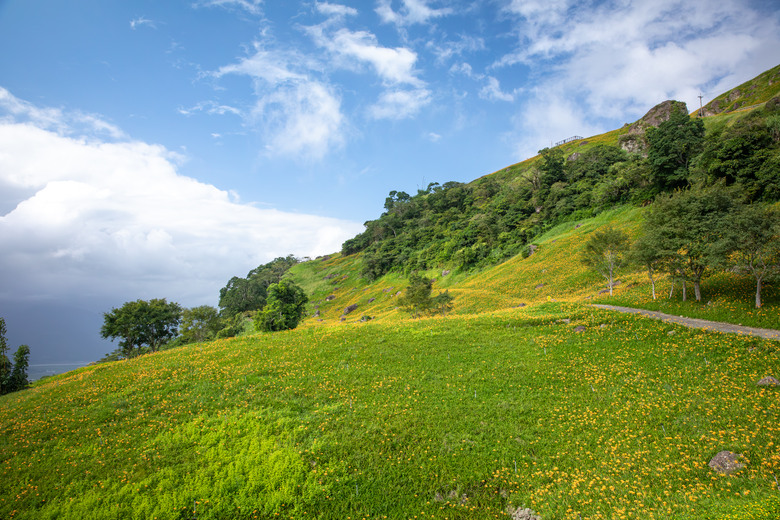 熱血一日暢遊赤柯山與六十石山金針花海美景