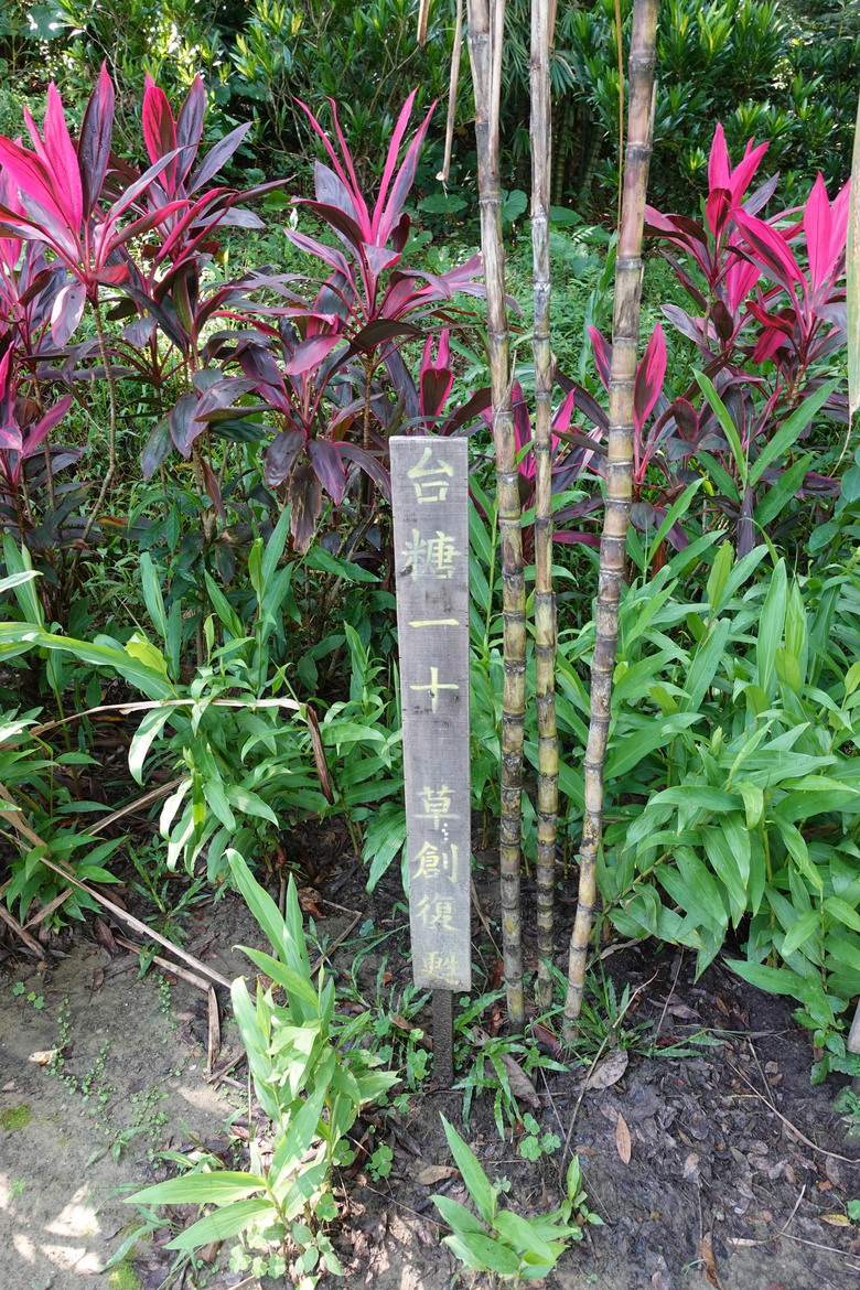 1314跟著博愛車隊騎遊仙境西拉雅，RIKULAU city tour