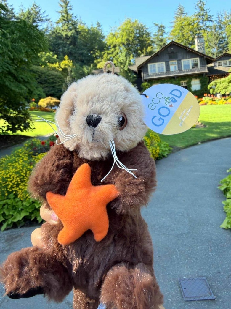 溫哥華親子景點-溫哥華水族館Vancouver Aquarium