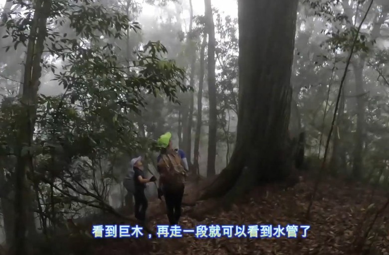 【谷關七雄】單日「蝶夢八唐」到底多硬？走完蝴蝶谷，經過夢幻谷，以為陡完八仙山就解脫？