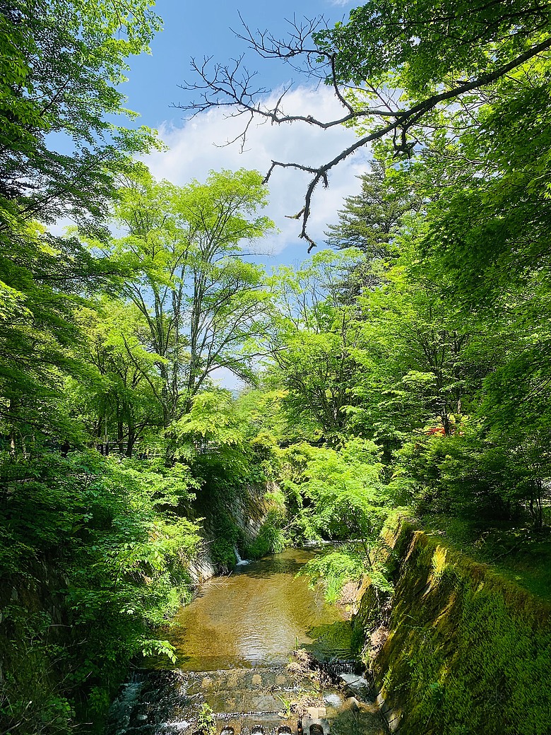 點我看大圖 <日本>2024~輕井澤咖啡廳探索、夏的雲場池、舊銀座通逛不停(果醬、限定美食⋯⋯)