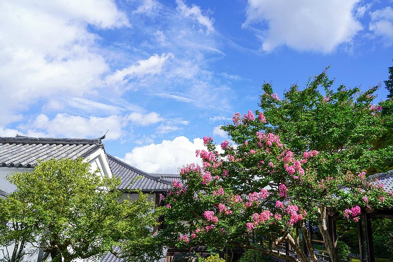 點我看大圖 夏天的京阪神旅行(下)