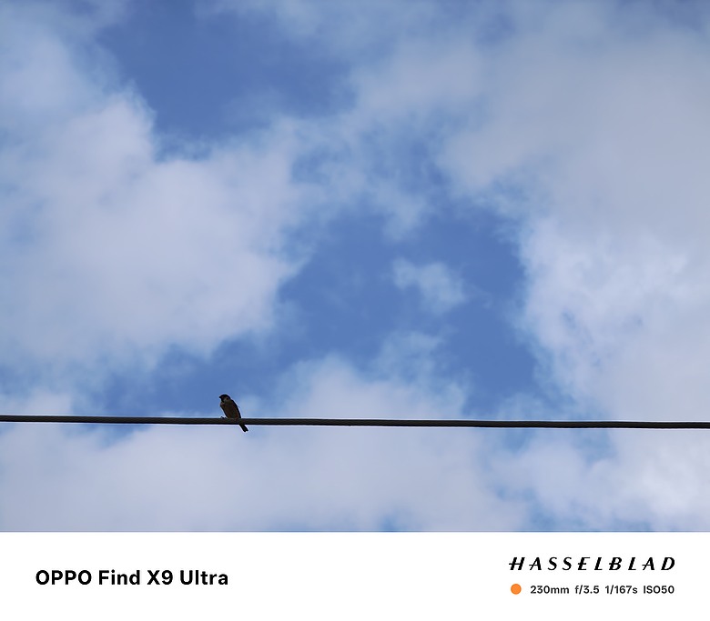 點我看大圖 OPPO Find X9 Ultra 短時間拍攝的實拍分享