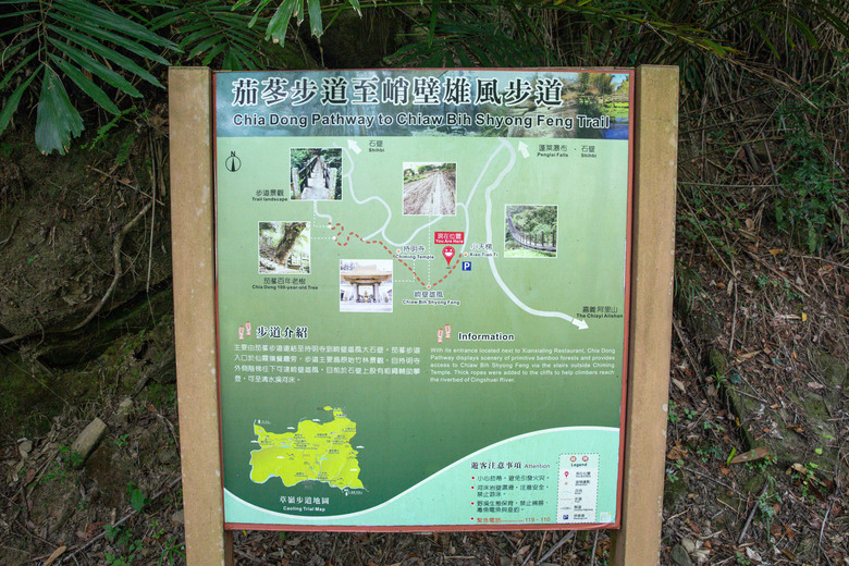點我看大圖 走進雲嘉交界的秘境:草嶺小天梯、萬年峽谷地質奇景與在地美食的一日散策