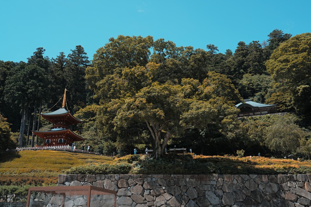Sigma FP 2026 大阪小記錄