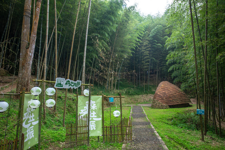 點我看大圖 走進雲嘉交界的秘境:草嶺小天梯、萬年峽谷地質奇景與在地美食的一日散策