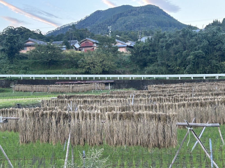 挑 戰 和 歌 山 熊 野 古 道 朝 聖 之 旅 ( 第 一 天 )