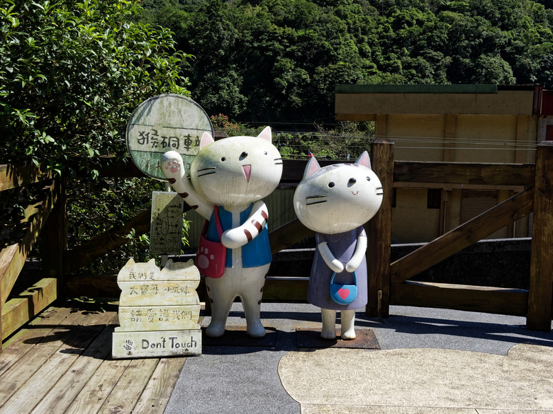 點我看大圖 侯硐貓村試拍貓咪|OM SYSTEM PEN 寵物對焦實測 (12-100mm F4 PRO)
