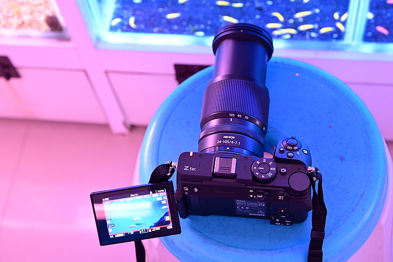 Nikon Z5IIC+24-105mm kit組拍魚、非常多的魚開箱